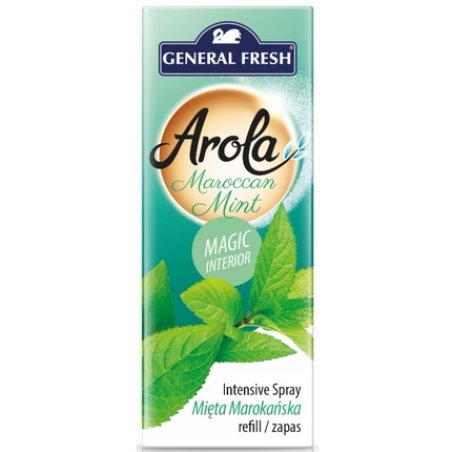 General Fresh Air Freshener Refill In The Shape Of A Pine Cone Moroccan Mint 40 Ml