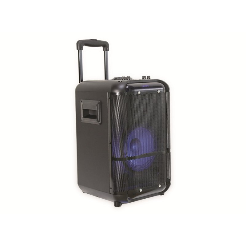 Denver TSP-306 Public Address (PA) speaker