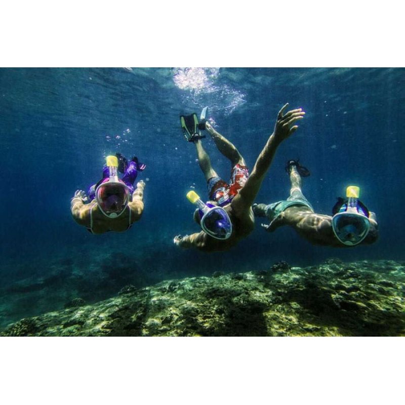 Free Breath Snorkeling Mask M2068G L/XL black