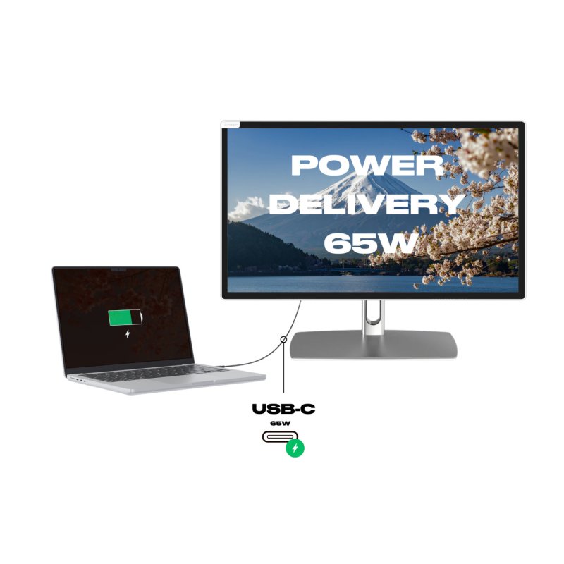 JAPANNEXT JN-IPS2152FHDR-C65W-FLD-T écran plat de PC 54,6 cm (21.5") 1920 x 1080 pixels Full HD LED Écran tactile Gris