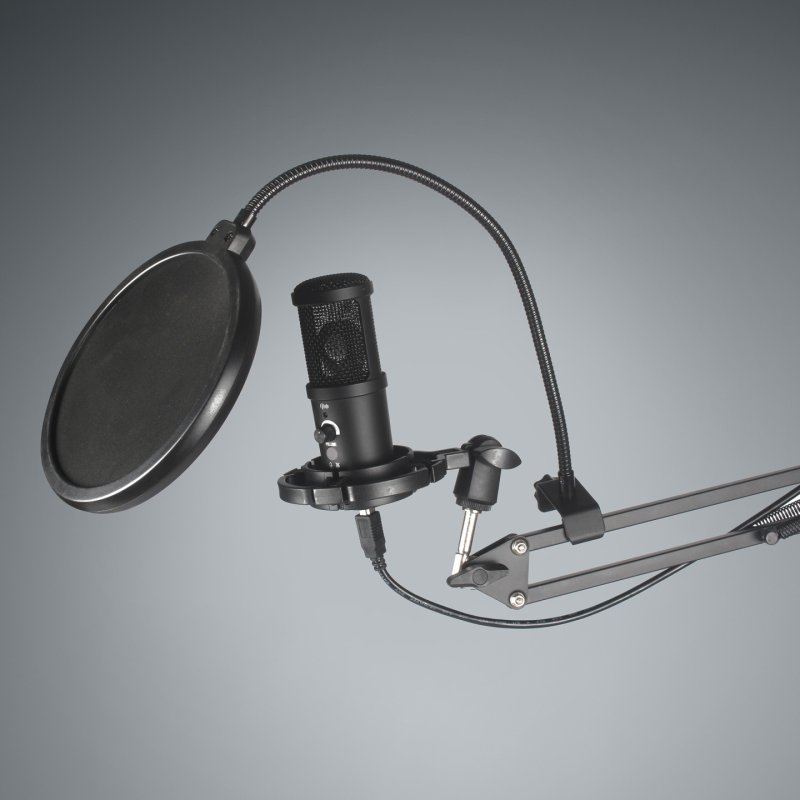 Easypix 62021 microphone Black Studio microphone