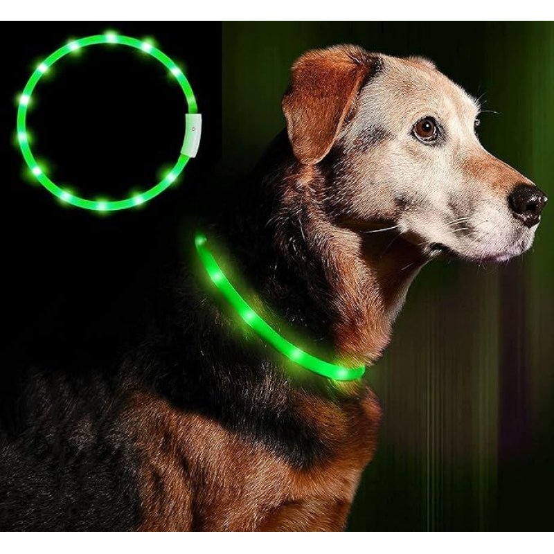 Anicoll LED Collar for Dogs and Cats Green