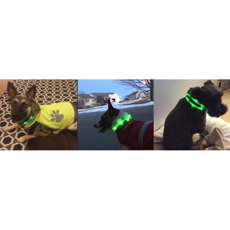 Anicoll LED Collar for Dogs and Cats Green