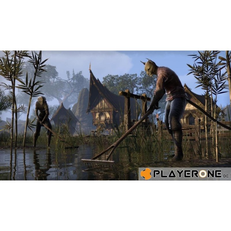 The Elder Scrolls Online - Tamriel Unlimited Edition