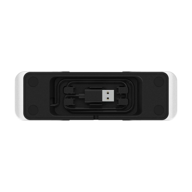 Hama 00115496 chargeur d'appareils mobiles Manettes de jeu Noir USB Intérieure