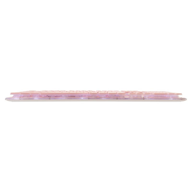 White Shark GK-003441 Tachi Pink US