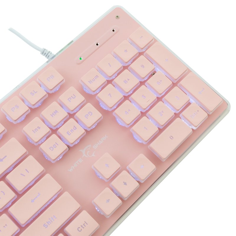 White Shark GK-003441 Tachi Pink US