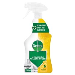 Dettol Antibacterial Allpurpose Cleaner Spray Sparkling Lemon 750 Ml