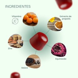 Vitamin C & Zinc Gummies with Echinacea, Elderberry & Propolis - Apple Lime Flavor