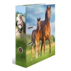 HERMA 20097 ring binder A4 Multicolour