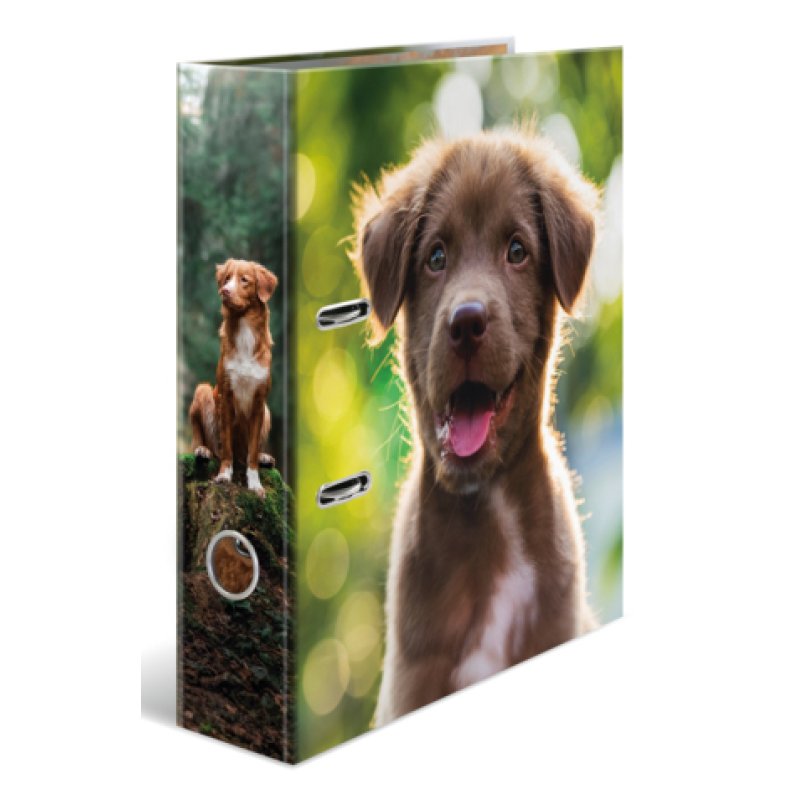 HERMA Classeur à motif "Animaux préférés" Chien, A4