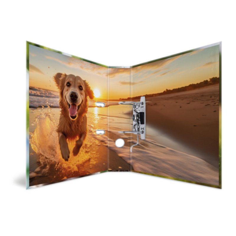 HERMA Classeur à motif "Animaux préférés" Chien, A4