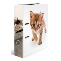 HERMA Classeur à motif "Animaux préférés" Chat, A4