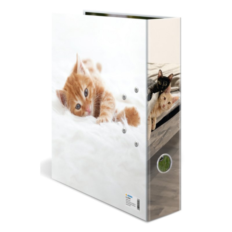 HERMA Classeur à motif "Animaux préférés" Chat, A4