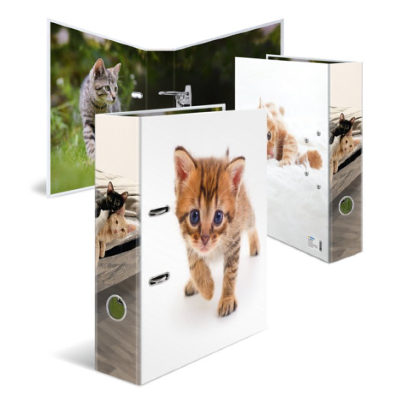 HERMA Classeur à motif "Animaux préférés" Chat, A4