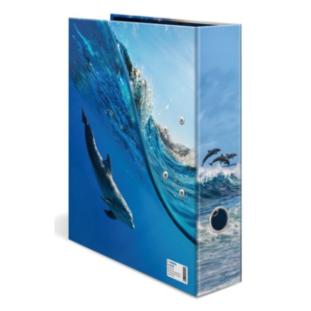 HERMA 20100 classeur à anneaux A4 Multicolore