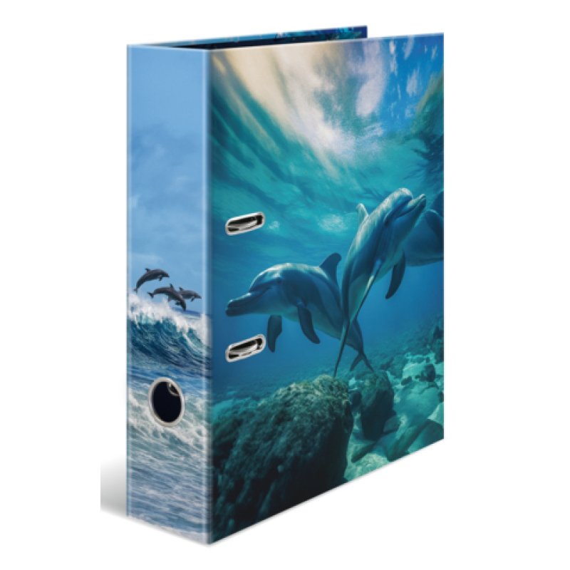 HERMA 20100 classeur à anneaux A4 Multicolore