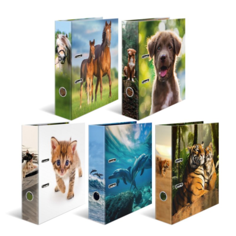 HERMA Classeur à motif "Animaux préférés" Tigre, A4