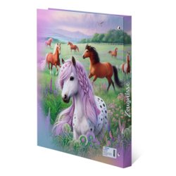 HERMA 20159 ring binder A4 Multicolour