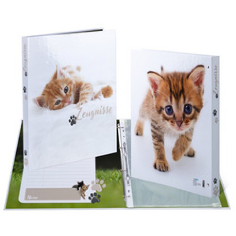 HERMA Zeugnisringbuch "Katzen", DIN A4