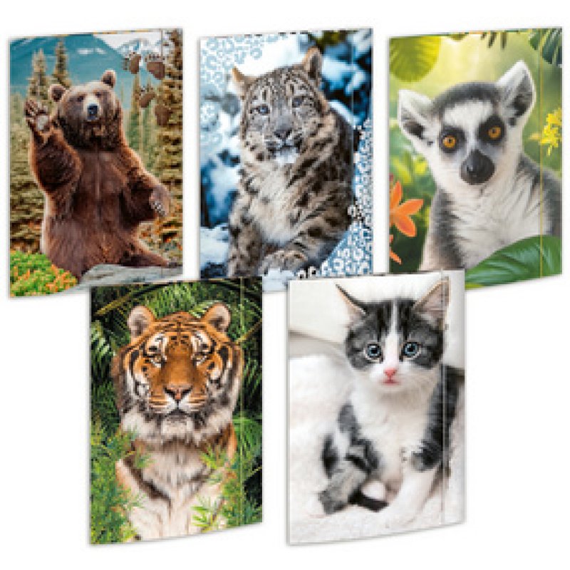 RNK Verlag Carton à dessin "Animaux", A3 - assortiment