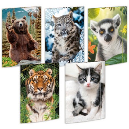 RNK Verlag Carton à dessin "Animaux", A3 - assortiment