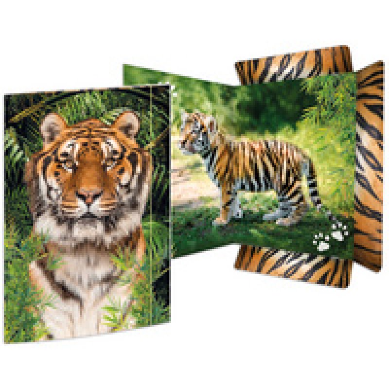 RNK Verlag Carton à dessin "Lémurien", A3