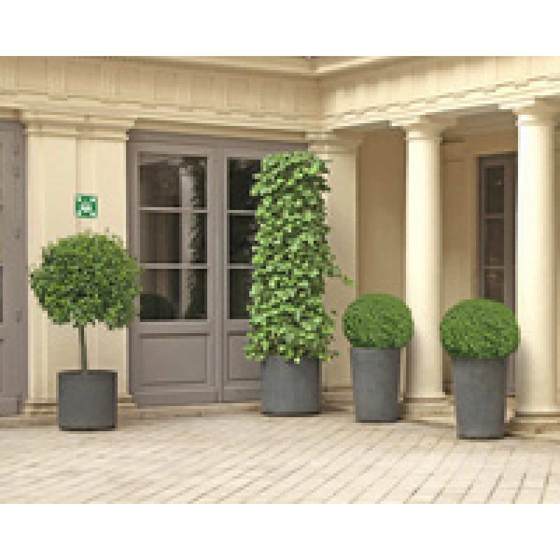 EXACOMPTA Panneau de signalisation "Point de rassemblement"