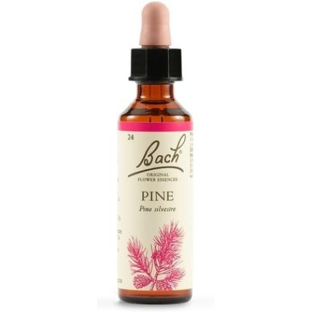 Pine Bach Original 20ml