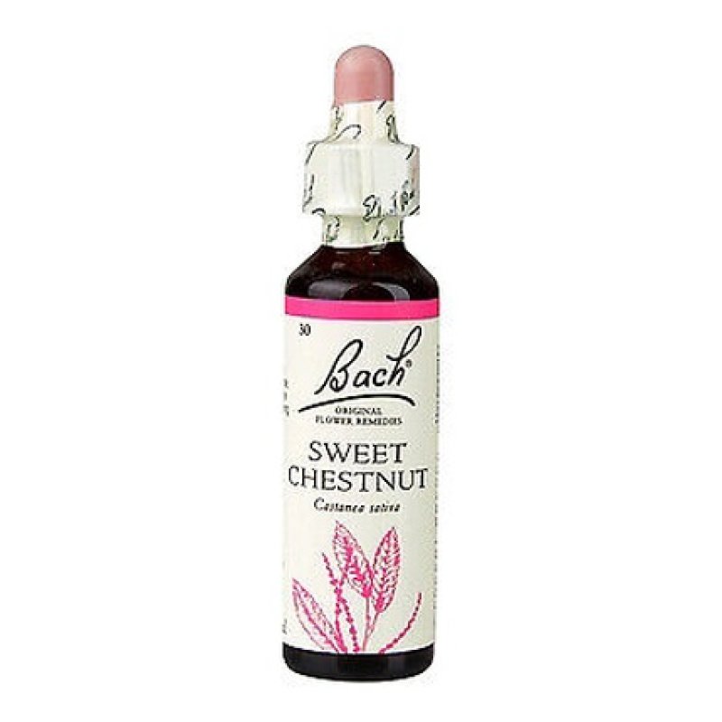 Sweet Chestnut Bach Originals 20ml