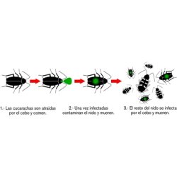 Masso 231201 Insecticide Preben Gel Roaches 5 Gr