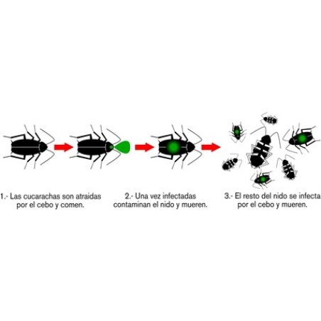 Masso 231201 Insecticide Preben Gel Roaches 5 Gr