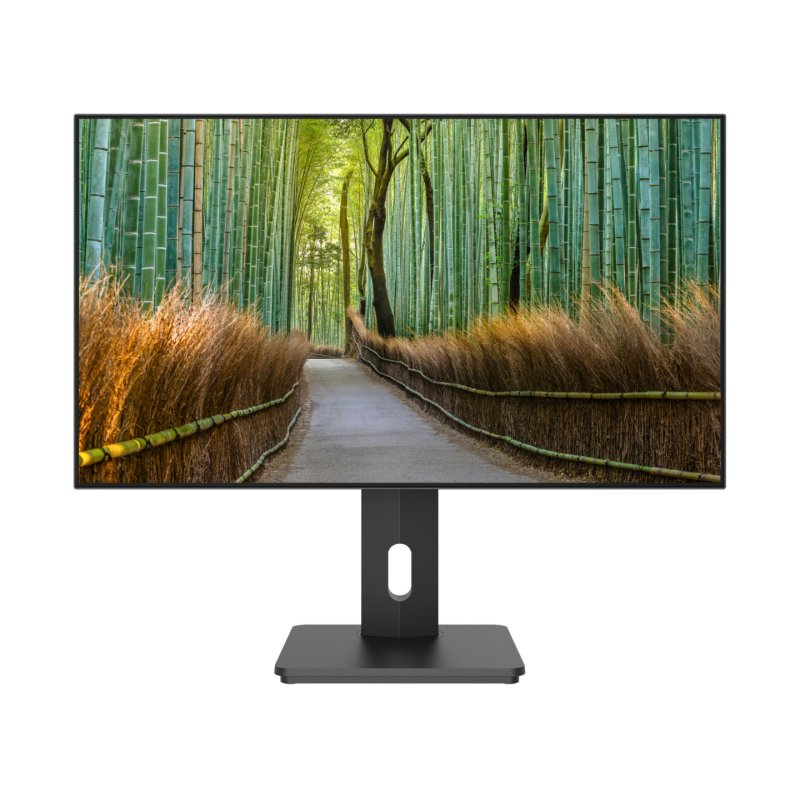 JAPANNEXT JN-27IPS4FLWQHDR-HSP - Ecran LED 27 - WQHD(2560x1440) à 60Hz - IPS