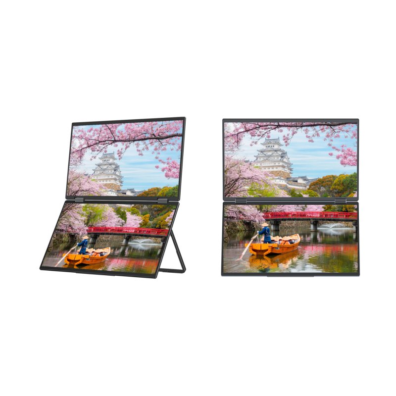 JAPANNEXT JN-DMD-IPS156F computer monitor 39.6 cm (15.6") 1920 x 1080 pixels Full HD LCD Black