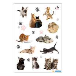 HERMA 15830 kids' stickers
