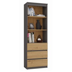 Topeshop RS-60 ANT/ART KPL office bookcase