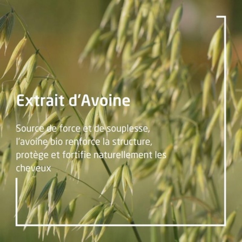 Weleda Oat Replenishing Shampoo 190ml