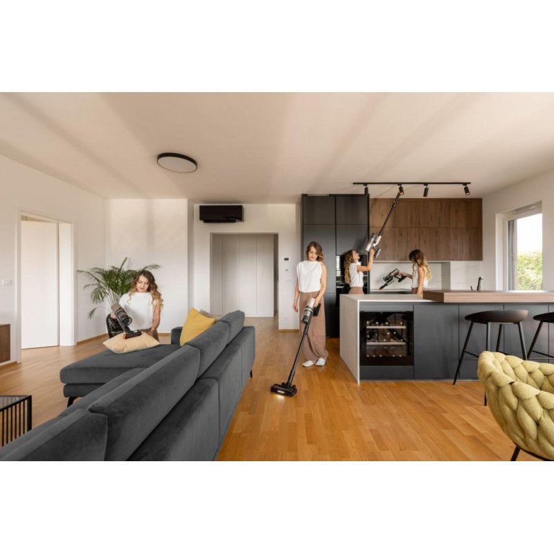 Gorenje SVC259441NFGO