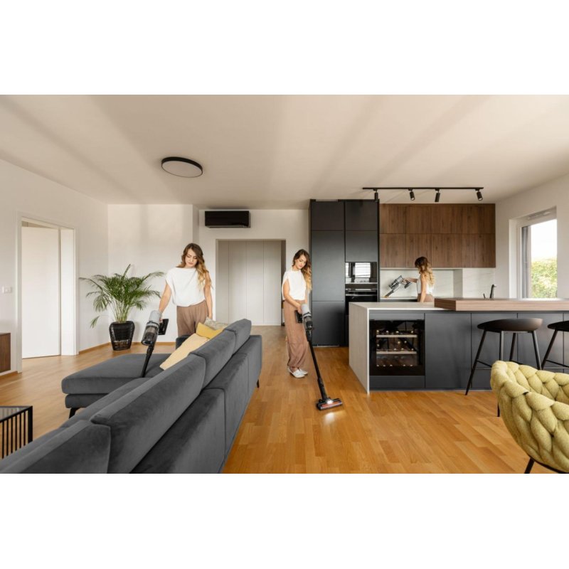 Gorenje Akkusauger SVC259400NES