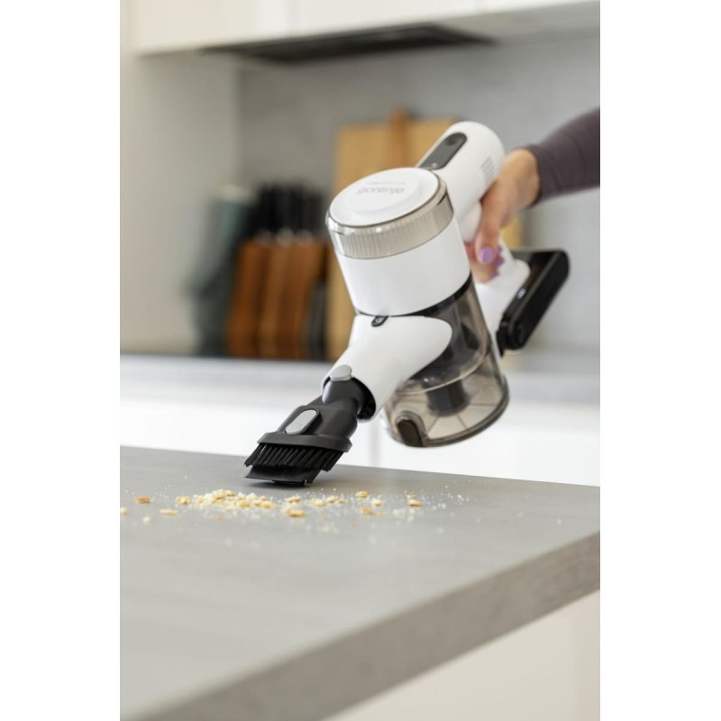 Gorenje Akkusauger SVC222230AEW