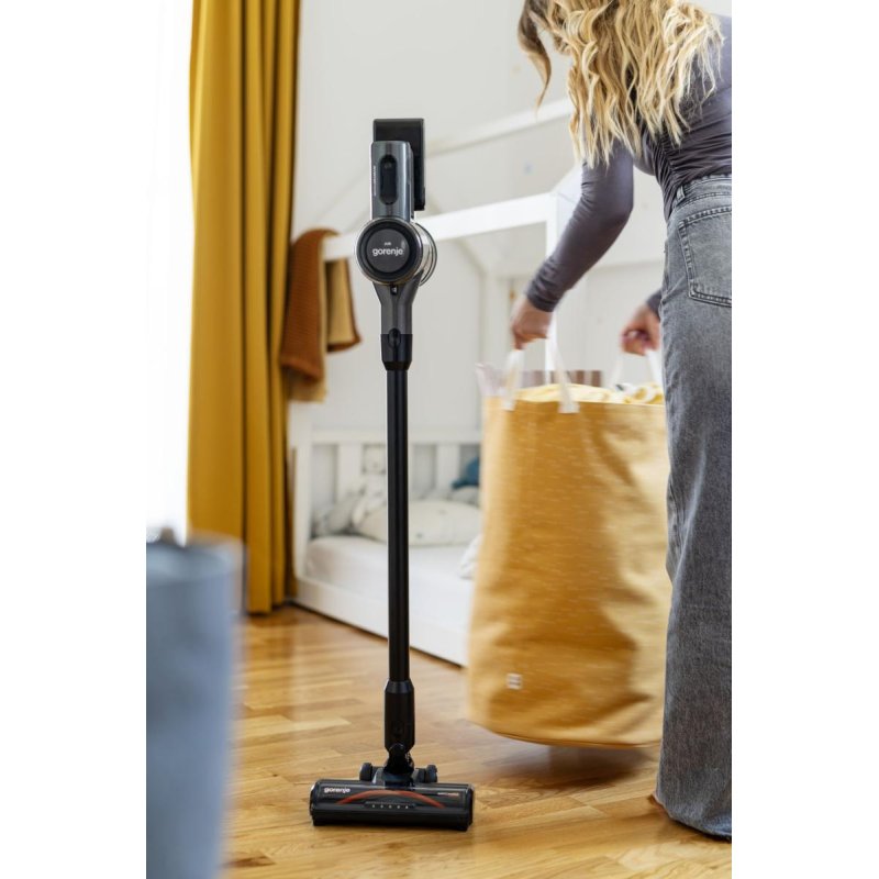 Gorenje Akkusauger SVC222480AA