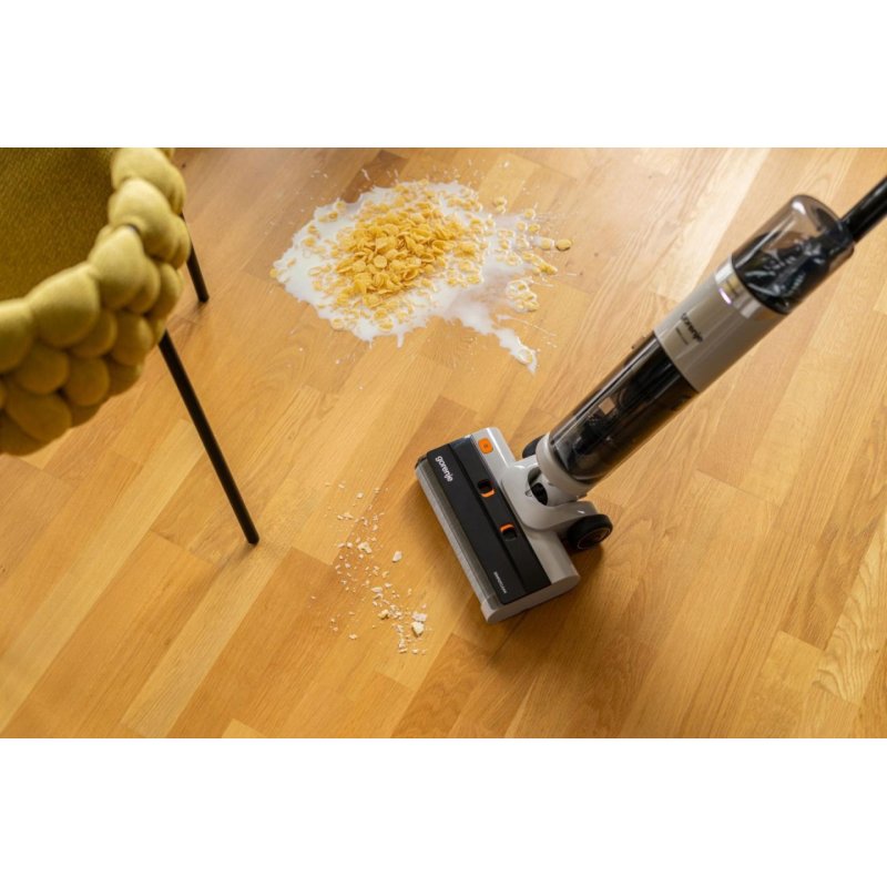 Gorenje SFC216100G aspirateur de table