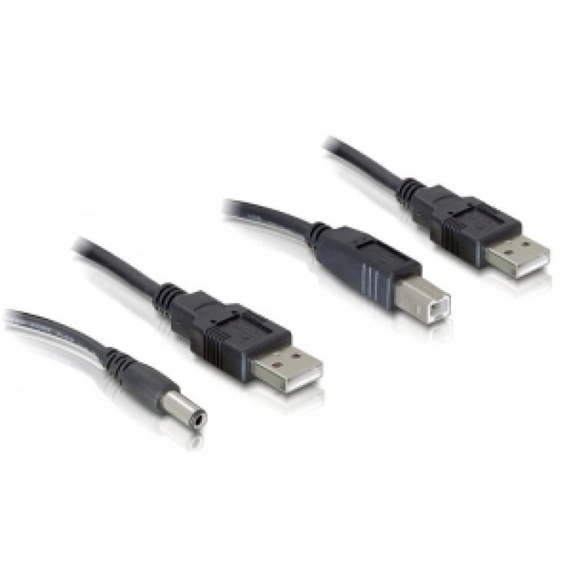DeLOCK Cableset 2x USB-A / DC USB-B câble USB 0,3 m USB A USB B Noir