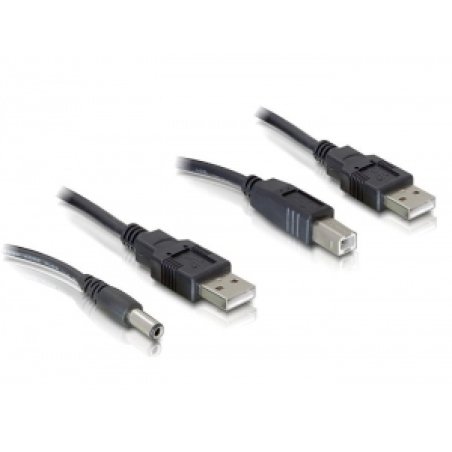 DeLOCK Cableset 2x USB-A / DC USB-B câble USB 0,3 m USB A USB B Noir