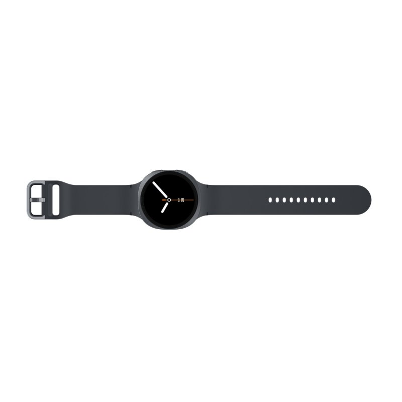 Samsung Galaxy Watch 8 Graphite 44mm DE Model LTE