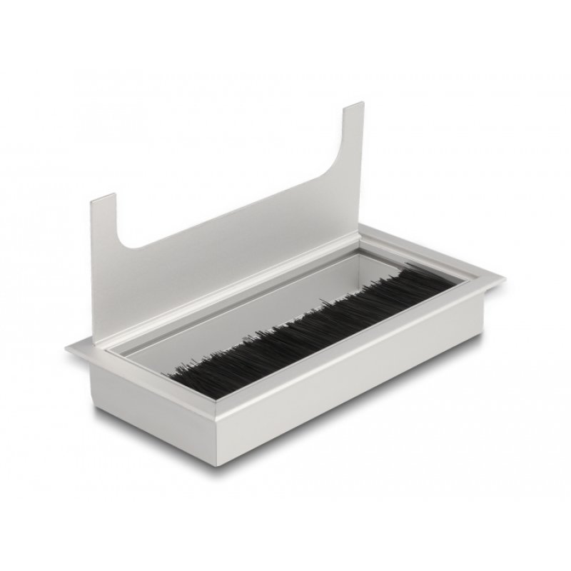 DeLOCK Passe-fil monté sur table avec brosse 160 x 80 x 28 mm, argent