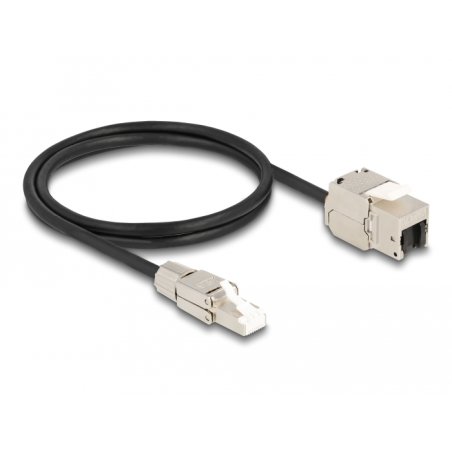 Delock Kabel RJ45 Stecker feldkonfektionierbar zu Keystone Modul RJ45 Buchse Cat.6A 1 m