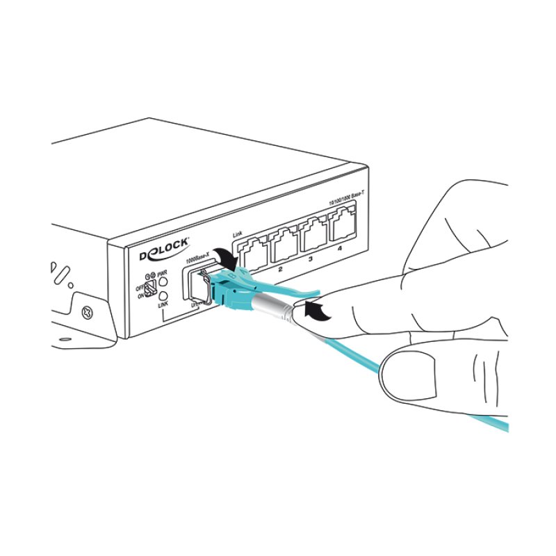DeLOCK 1m, 2xLC câble InfiniBand et à fibres optiques LC Turquoise