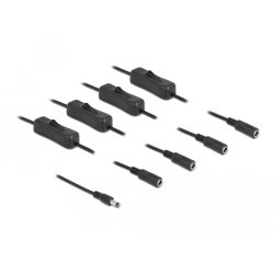 DeLOCK Câble CC 5,5 x 2,1 mm mâle à 4 x CC femelle avec interrupteur, 1 m
