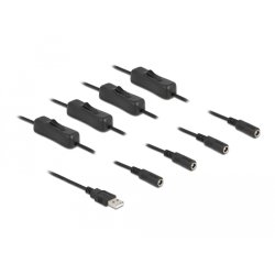 DeLOCK Câble USB Type-A mâle à 4 DC 5,5 x 2,1 mm femelle avec interrupteur, 1 m